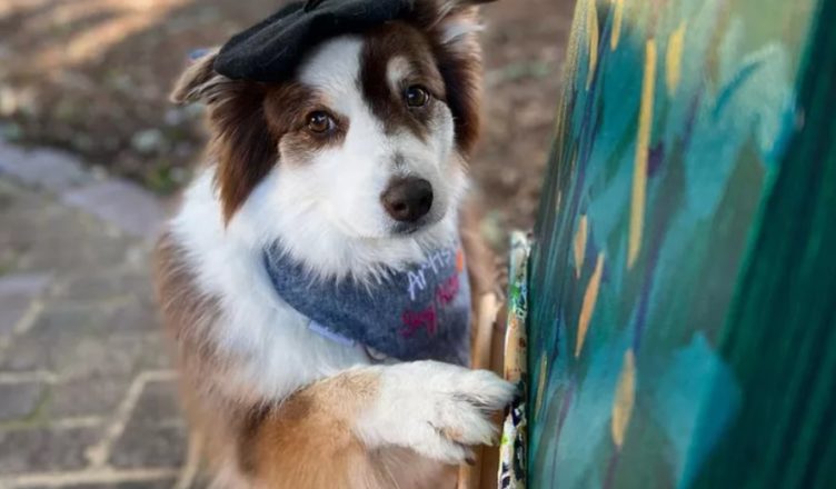 A dog that paints and sells art for charity has raised a lot of money…