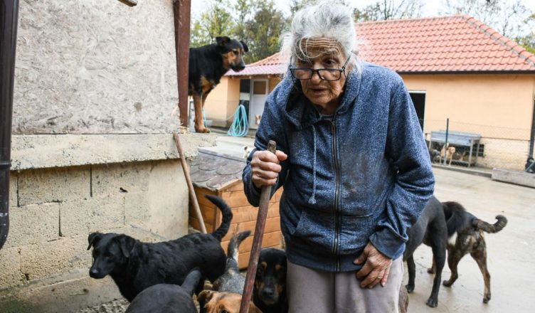A pensioner worries that 137 dogs she cares alone will “die” this winter, because…