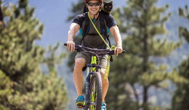 Adventurer and His Feline ‘Soulmate’ Hike, Kayak, and Climb the U.S. Together. But see what happened to them…