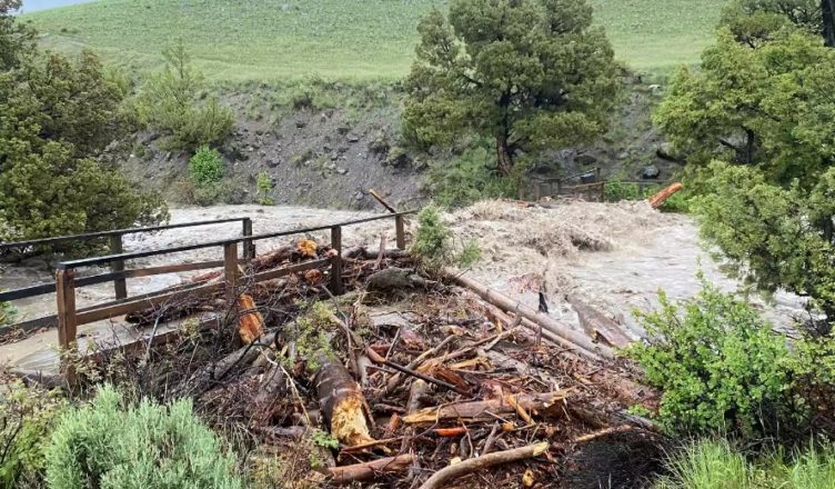 All entrances to Yellowstone are closed because of… Shocking… See what’s happening there…