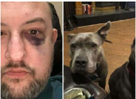 Man Rescued A Pair Of Pit Bulls From Shelter — Later, They Repaid Him