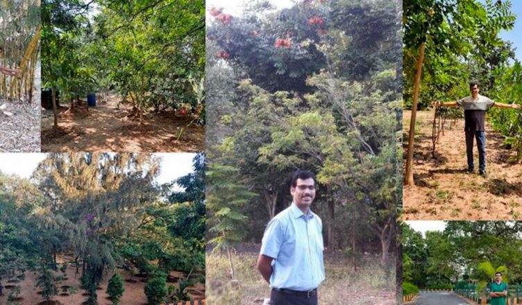 Inspiring College Principal Converts 8 Acres of Treeless Land into Mini Forest and Orchard on India Campus… See the campus before that…