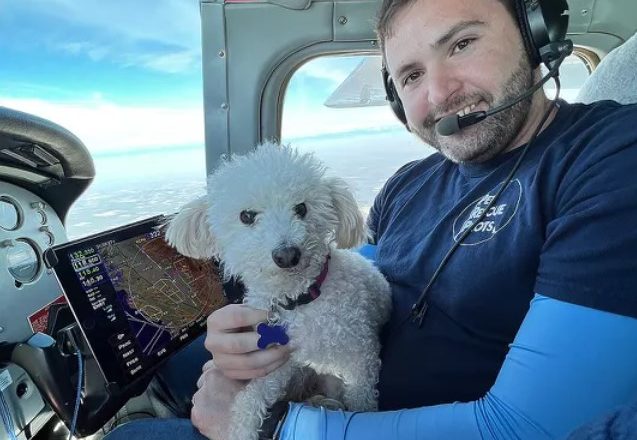 Rescue Flight Helps 23 Senior Shelter Dogs Find Homes…