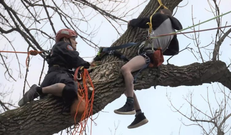 Teen Tries to Rescue Cat in Tree But Gets Stuck and…