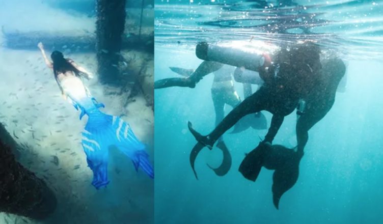 Three Mermaids Save a Scuba Diver From…