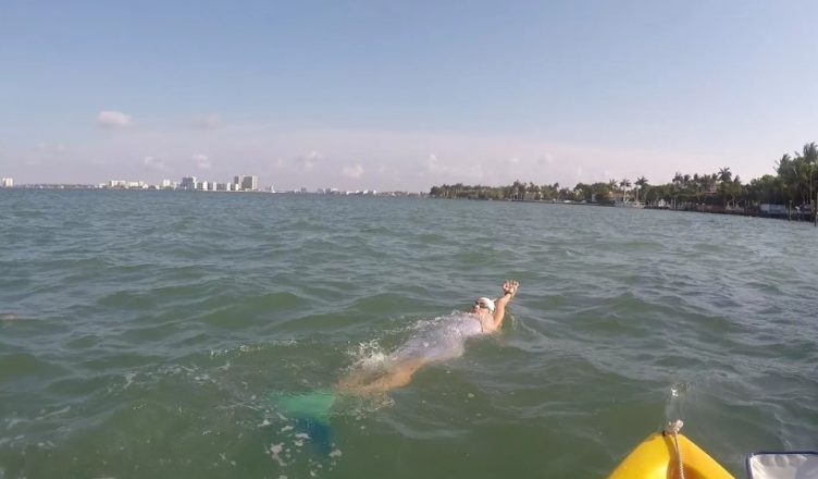 VIDEO: Woman Sets New Record for Swimming in a Mermaid Fin — and Collects Trash from the Water Along the Way… See what she does with that…