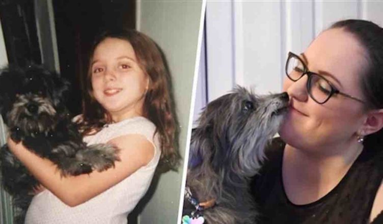 Woman Realizes the Old Dog She Just Adopted Was Same One She Had as a Child… See How They’ve Changed During These Years…